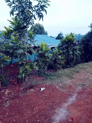 50 by 100 Plot in Thogoto Kikuyu