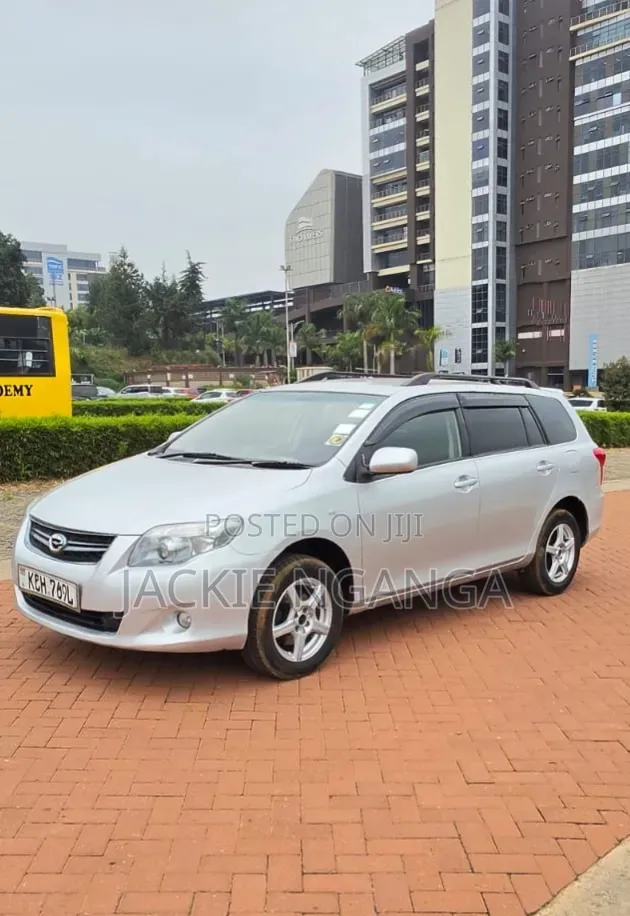 Toyota Corolla Fielder 2010 Silver