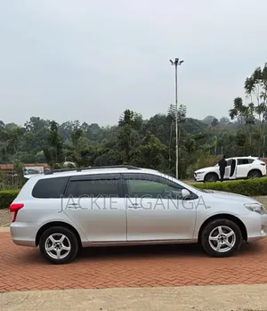 Toyota Corolla Fielder 2010 Silver