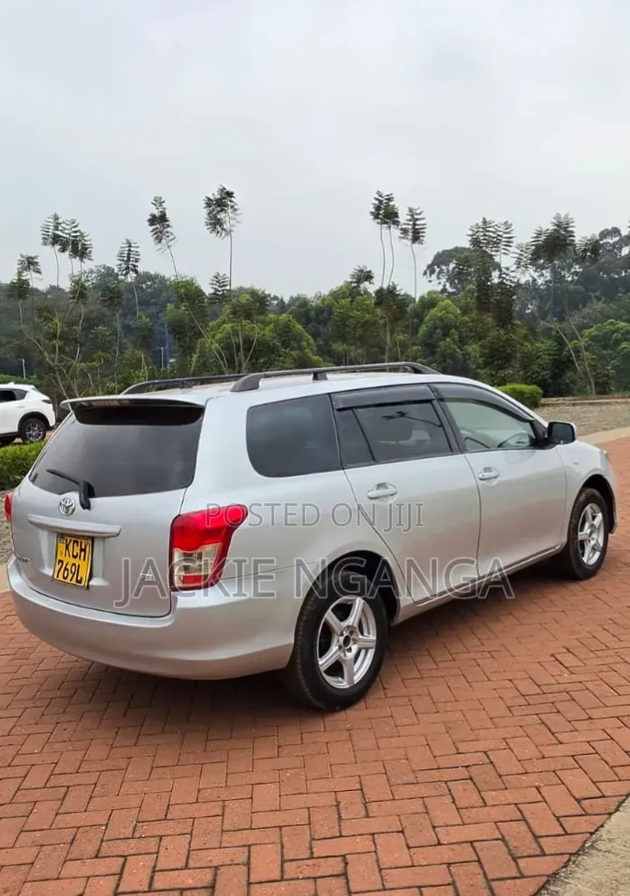 Toyota Corolla Fielder 2010 Silver