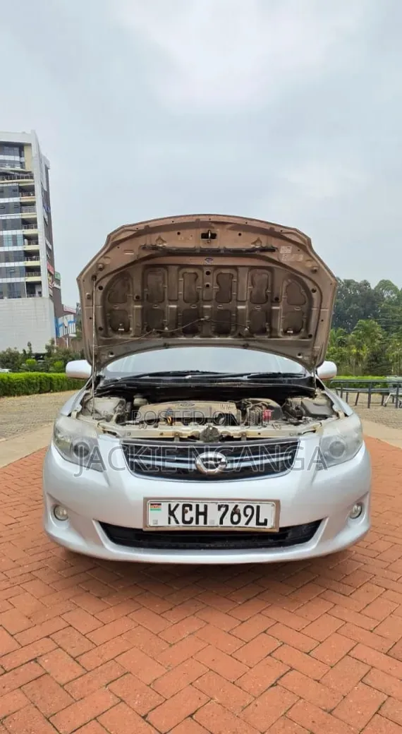 Toyota Corolla Fielder 2010 Silver
