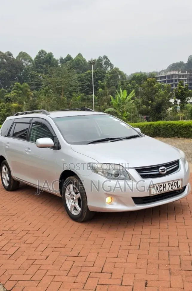 Toyota Corolla Fielder 2010 Silver