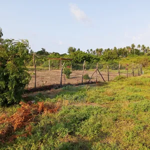 Ngomeni Malindi Beach Plot With Fresh Water Well. Clean Title .Fenced.