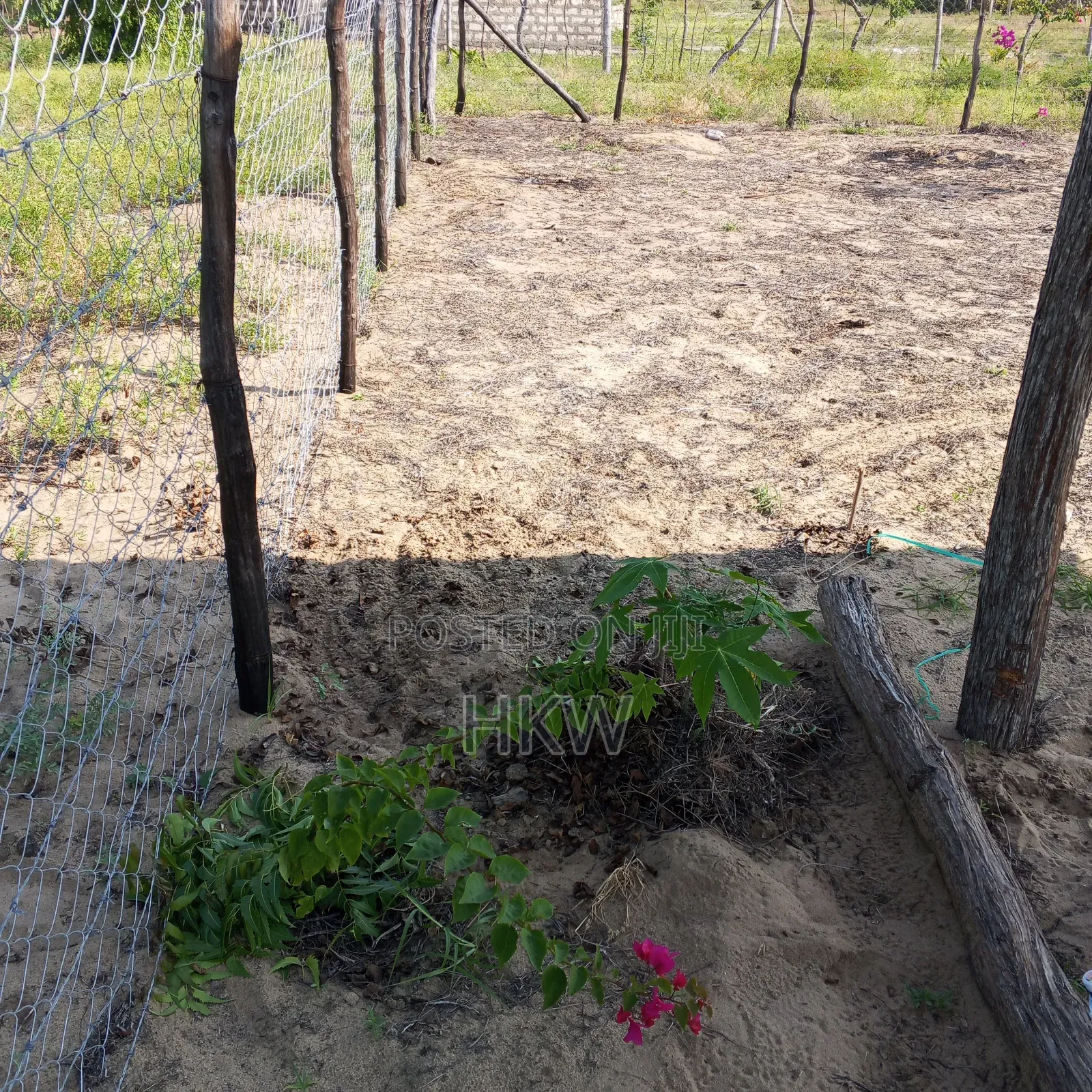 Ngomeni Malindi Beach Plot With Fresh Water Well. Clean Title .Fenced.