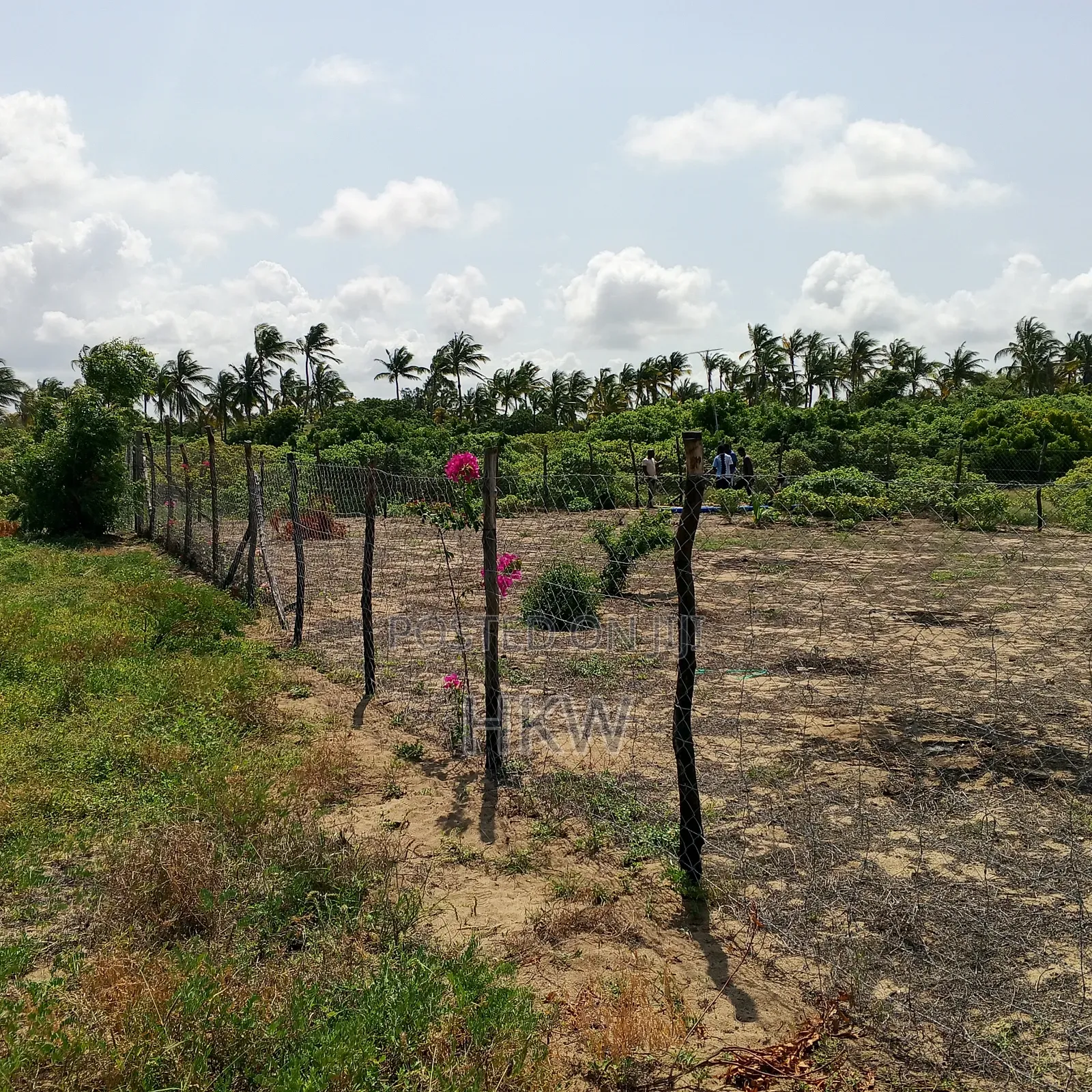 Ngomeni Malindi Beach Plot With Fresh Water Well. Clean Title .Fenced.