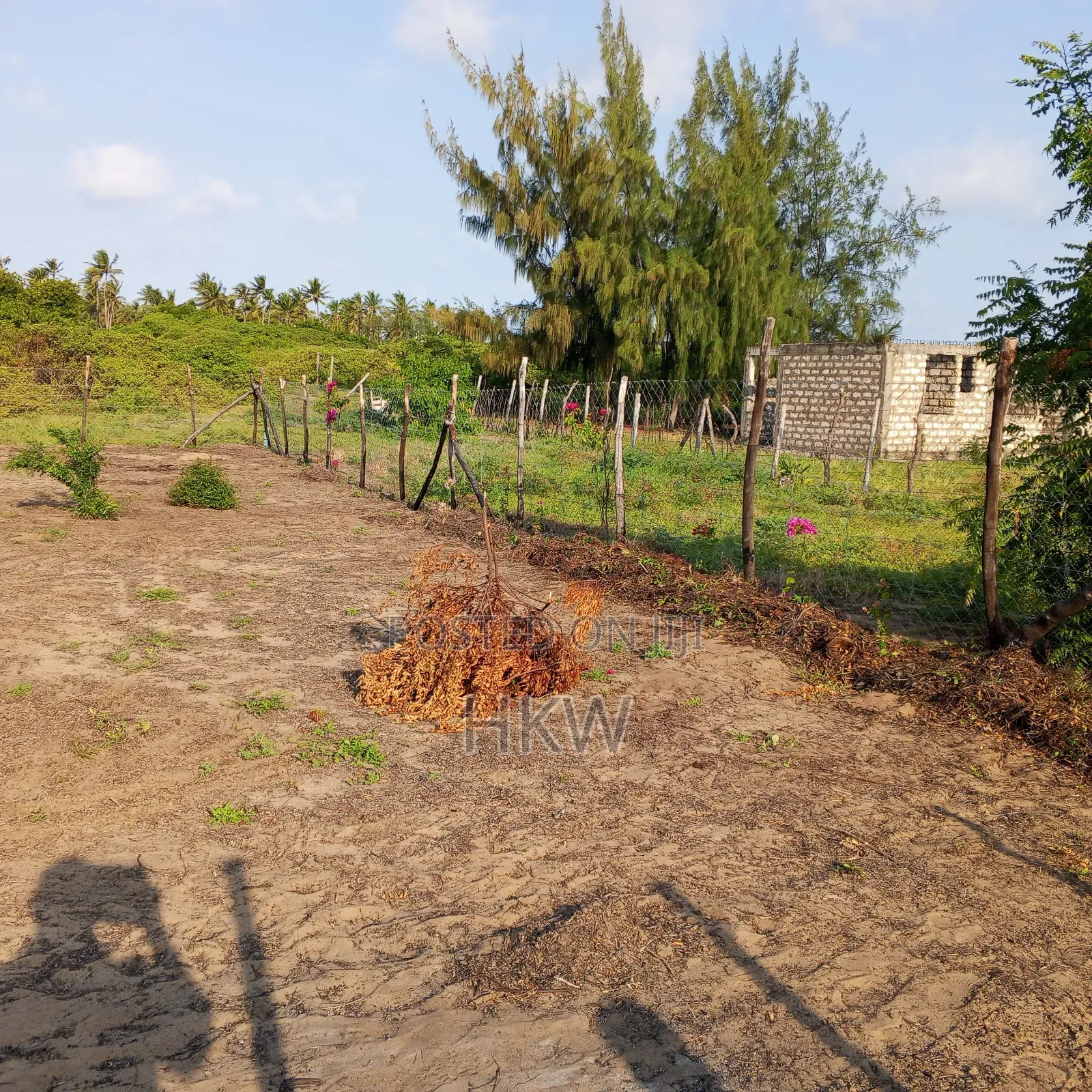 Ngomeni Malindi Beach Plot With Fresh Water Well. Clean Title .Fenced.