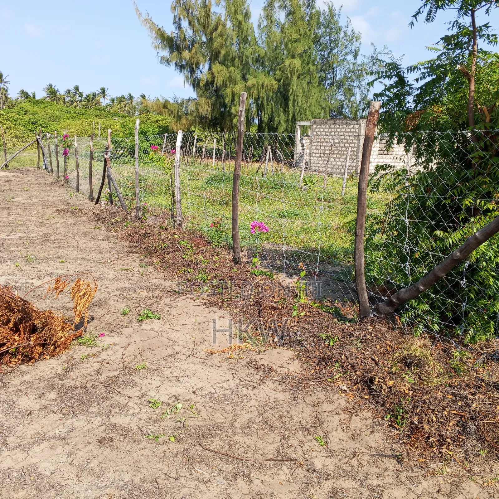 Ngomeni Malindi Beach Plot With Fresh Water Well. Clean Title .Fenced.