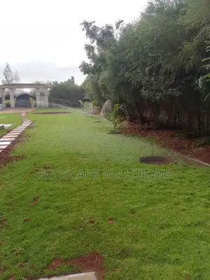 Landscaping Services
