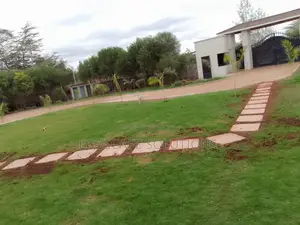 Landscaping Services