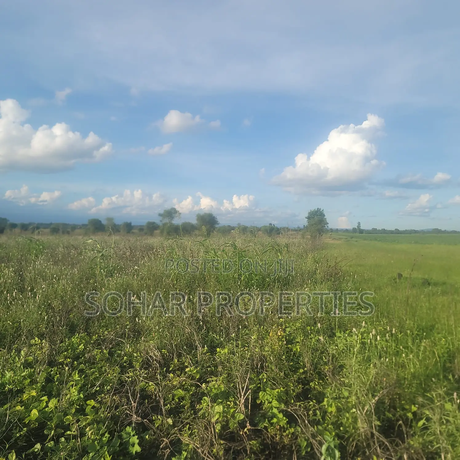 Sagana - 6 Acres Farm Land for Sale