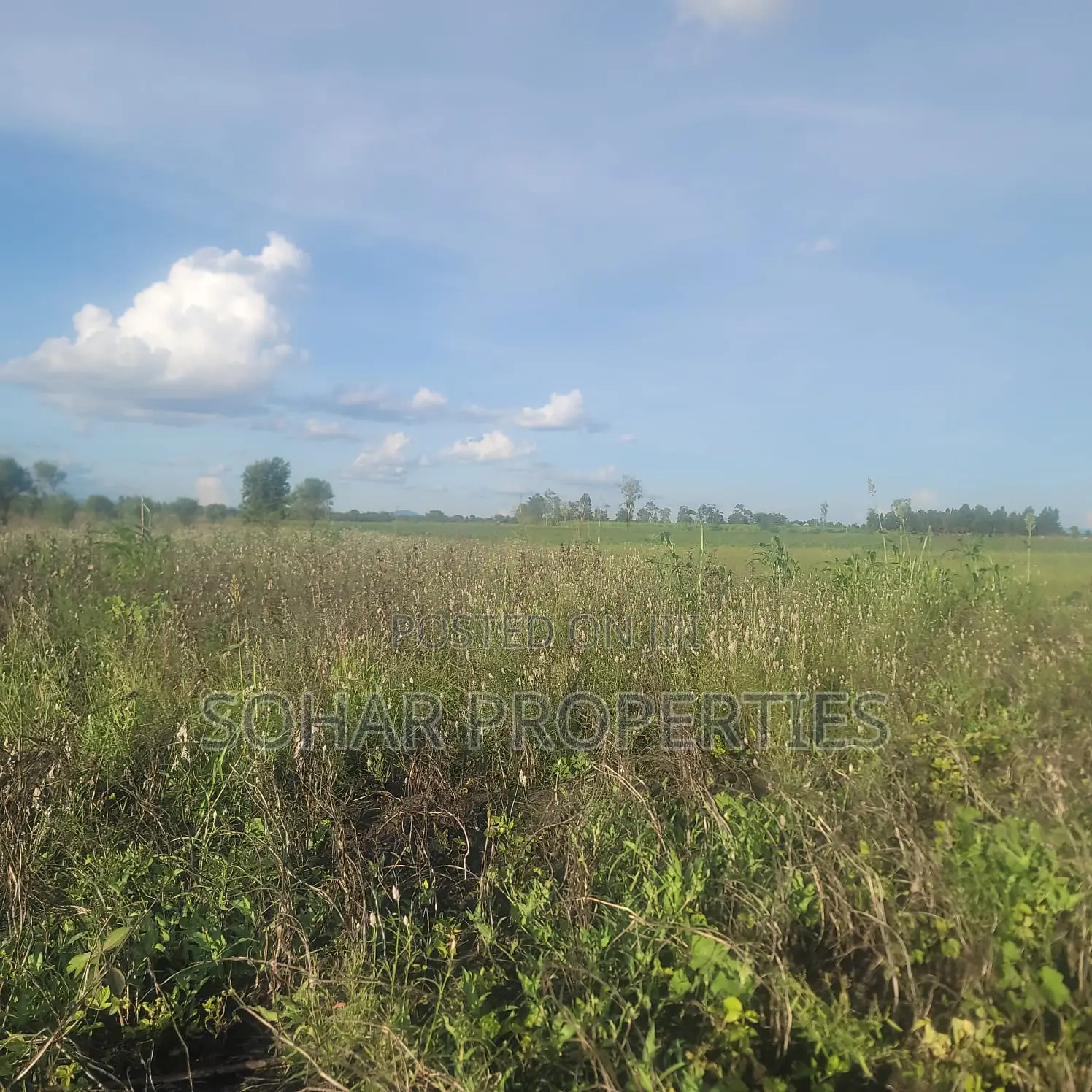 Sagana - 6 Acres Farm Land for Sale
