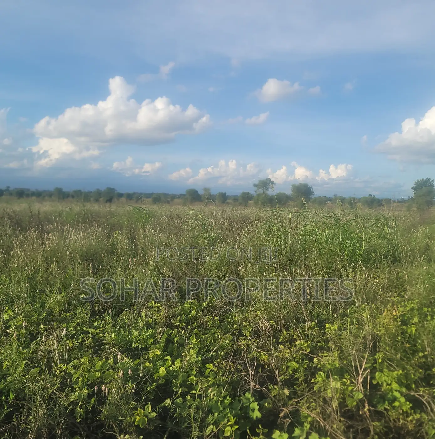 Sagana - 6 Acres Farm Land for Sale