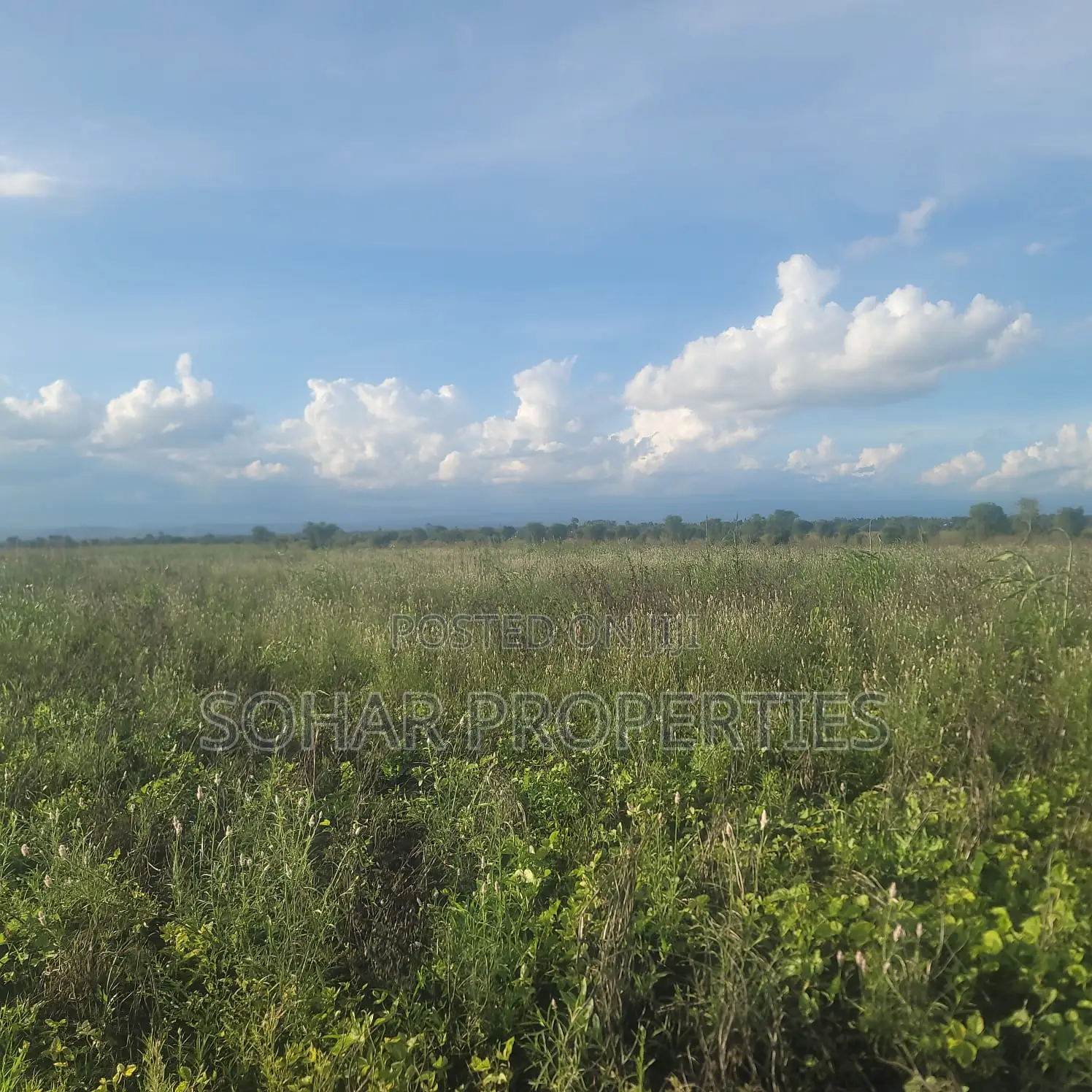 Sagana - 6 Acres Farm Land for Sale