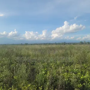 Sagana - 6 Acres Farm Land for Sale