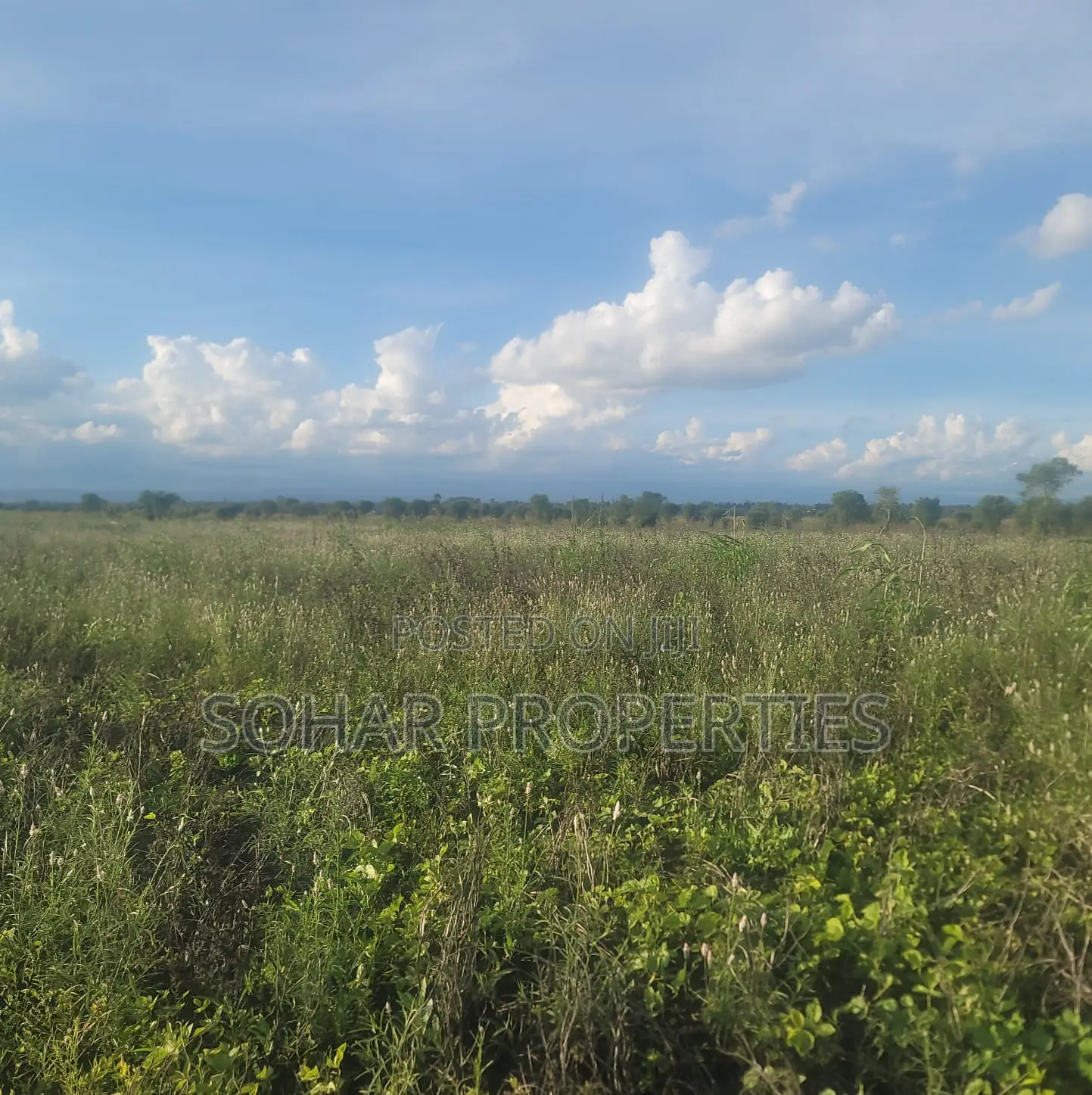Sagana - 6 Acres Farm Land for Sale