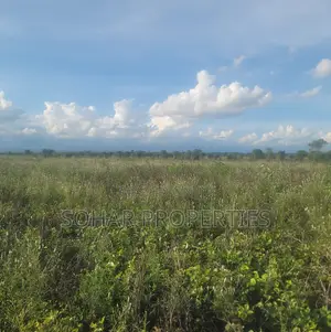Sagana - 6 Acres Farm Land for Sale