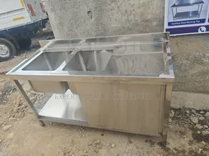 Double Sink With Doors