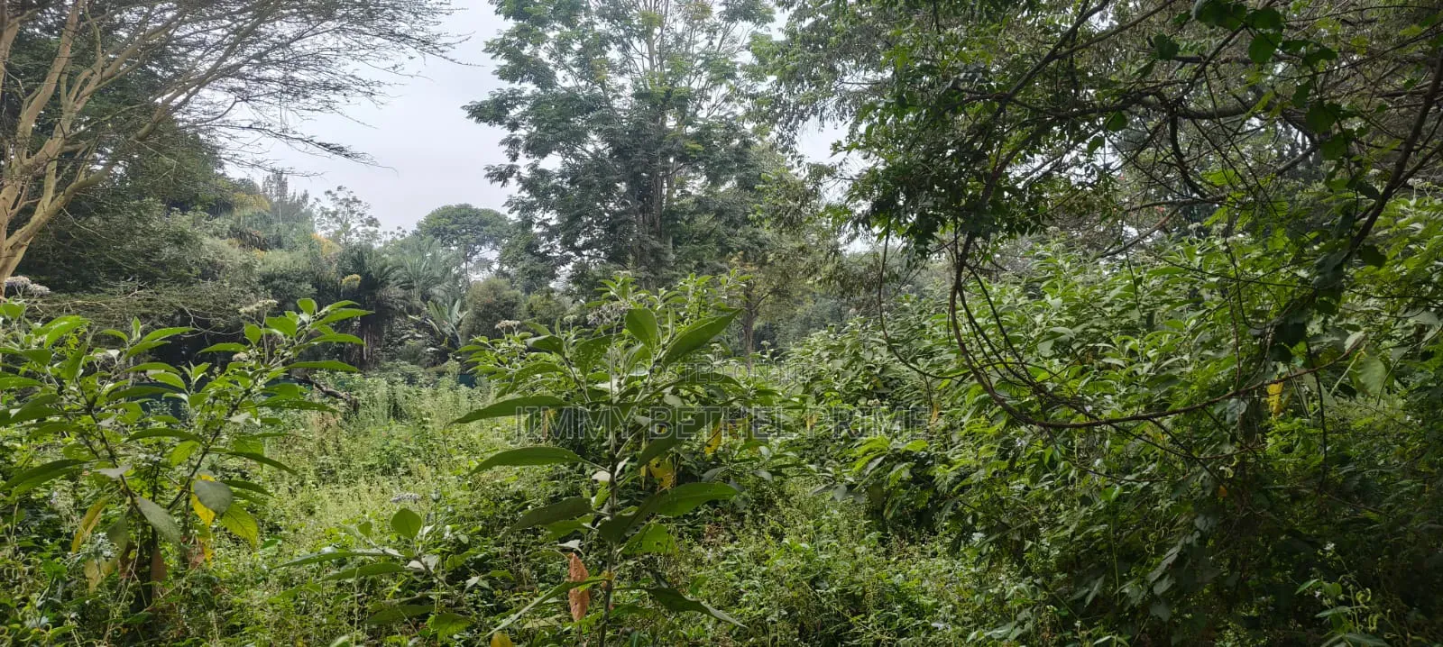 Prime 2.1 Acres for Sale