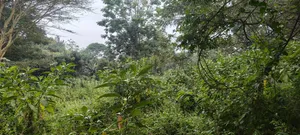 Prime 2.1 Acres for Sale
