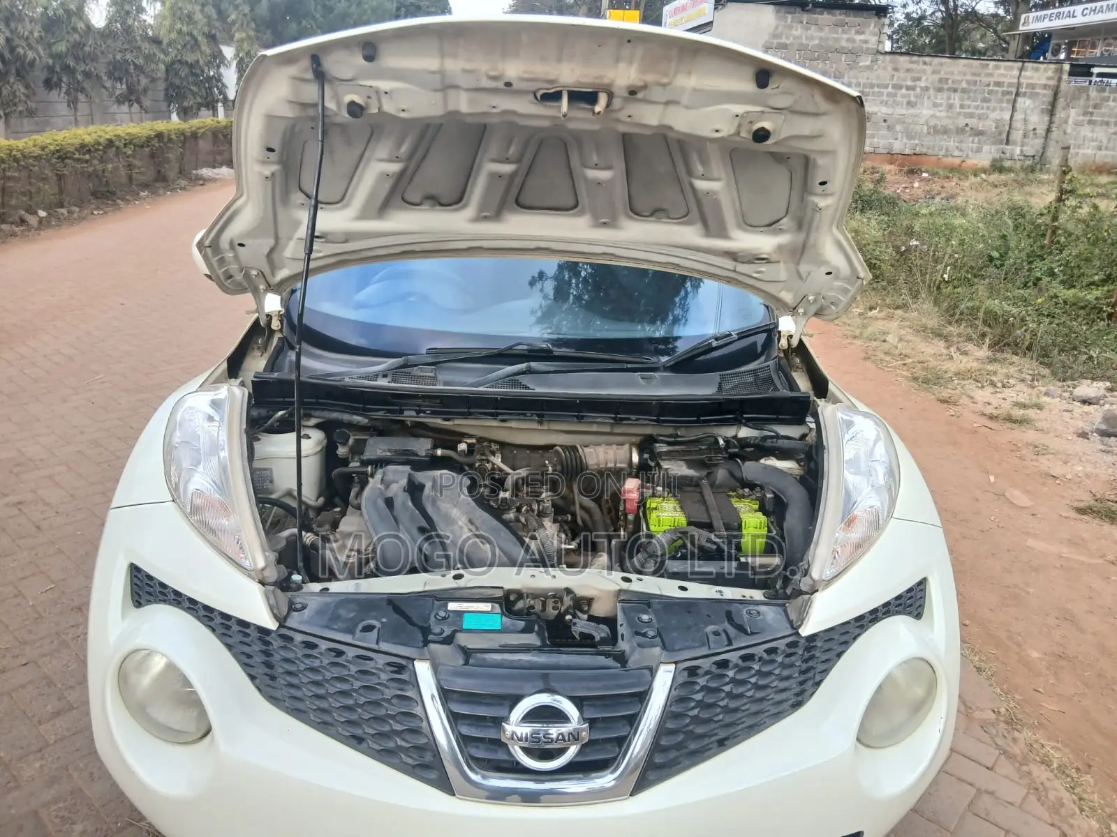 Nissan Juke 2012 White
