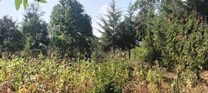 2 Acres Ngoirubi Thigio
