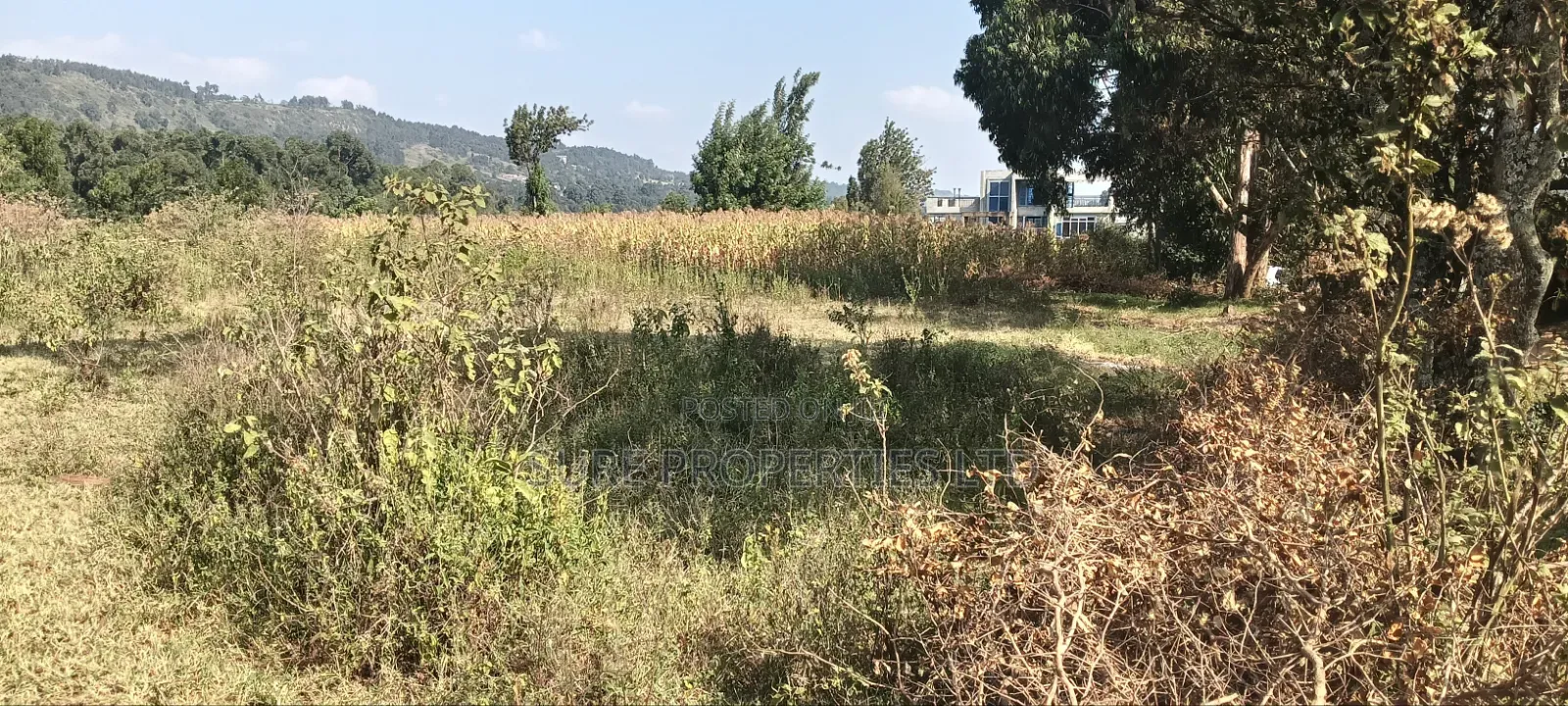 2 Acres Ngoirubi Thigio