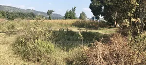2 Acres Ngoirubi Thigio