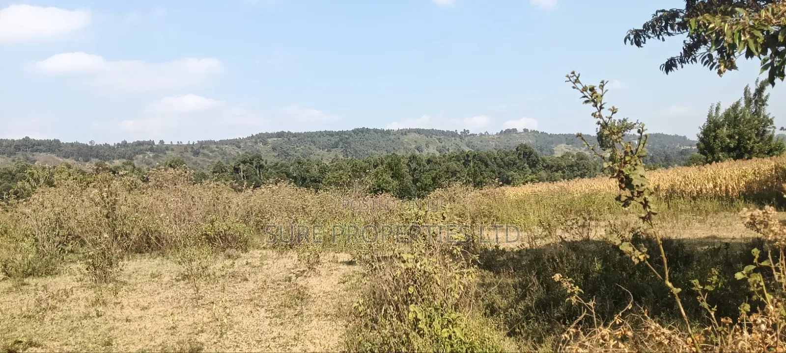 2 Acres Ngoirubi Thigio