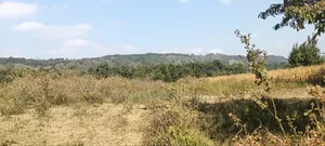 2 Acres Ngoirubi Thigio