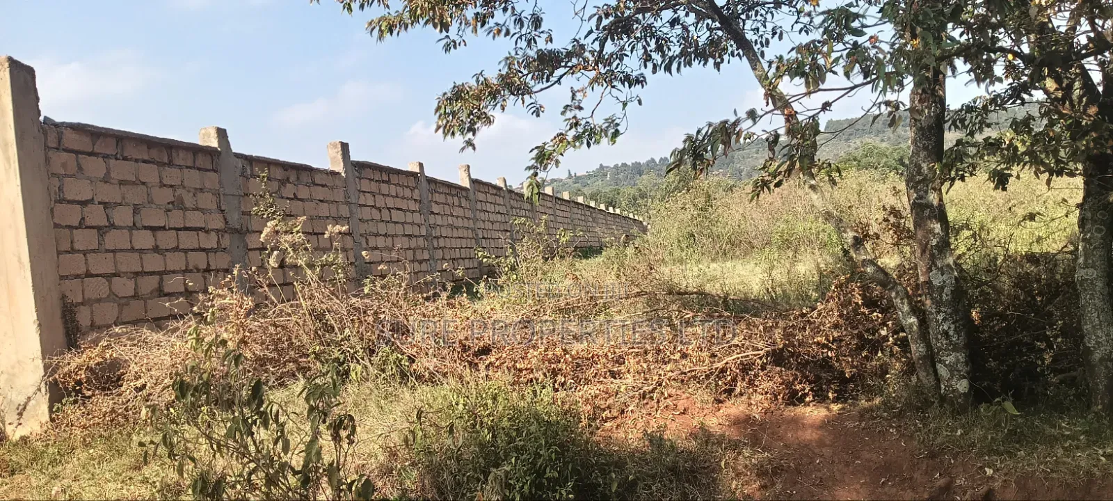 2 Acres Ngoirubi Thigio