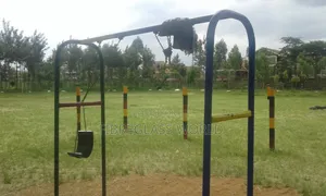 Swings for Both Children and Adults