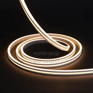 12V LED DC Neon Strip Light