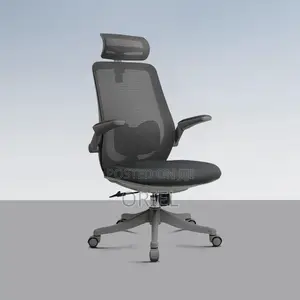 Office Chair : Ergonomic Foldable Arms Office Chair