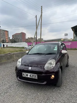 Toyota Passo 2013 Brown