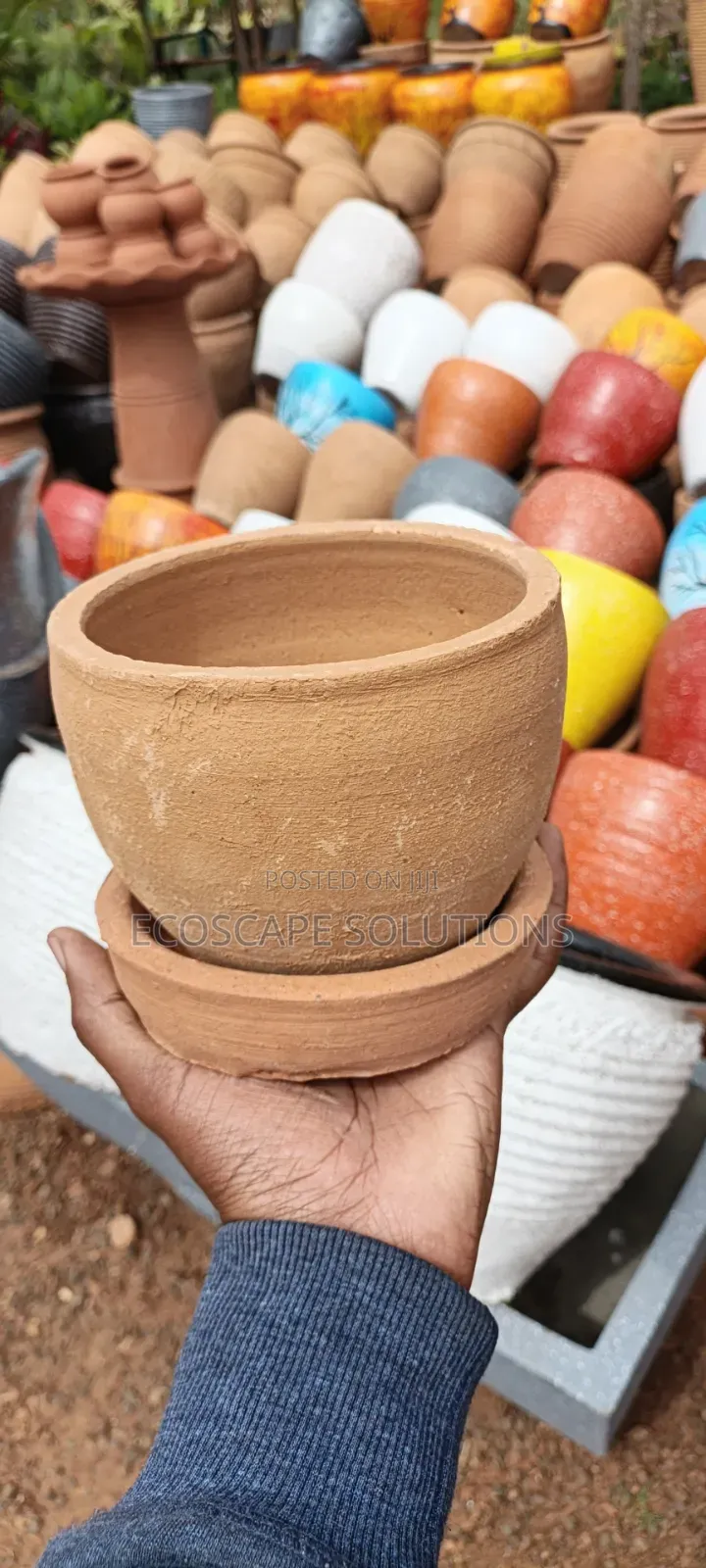 Clay Pots Plantsers