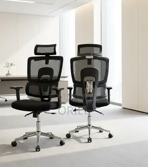 Office Chair : Modern Swivel Orthopedic Mesh Seat
