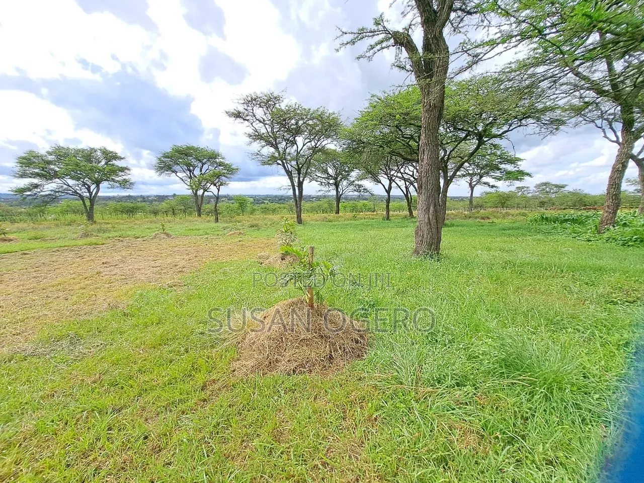 6 Acres Land for Sale in Rongai Rimpa