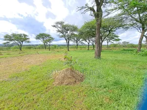 6 Acres Land for Sale in Rongai Rimpa