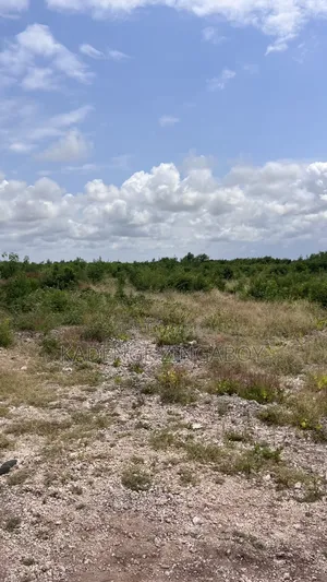 A Prime 50×100 Plots for Sale in Watamu Jacaranda