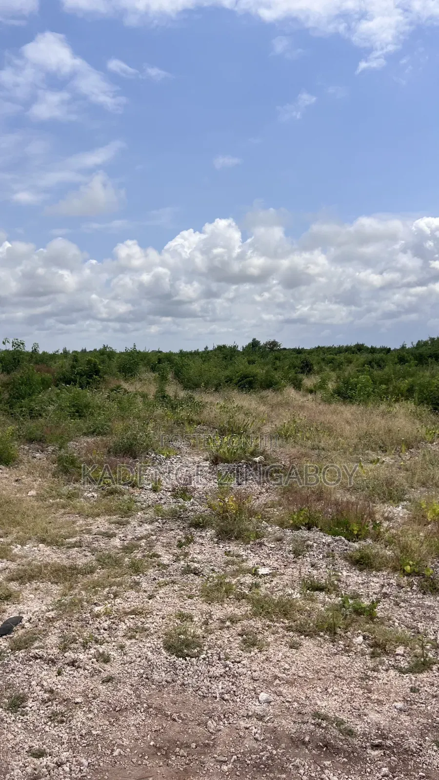 A Prime 50×100 Plots for Sale in Watamu Jacaranda