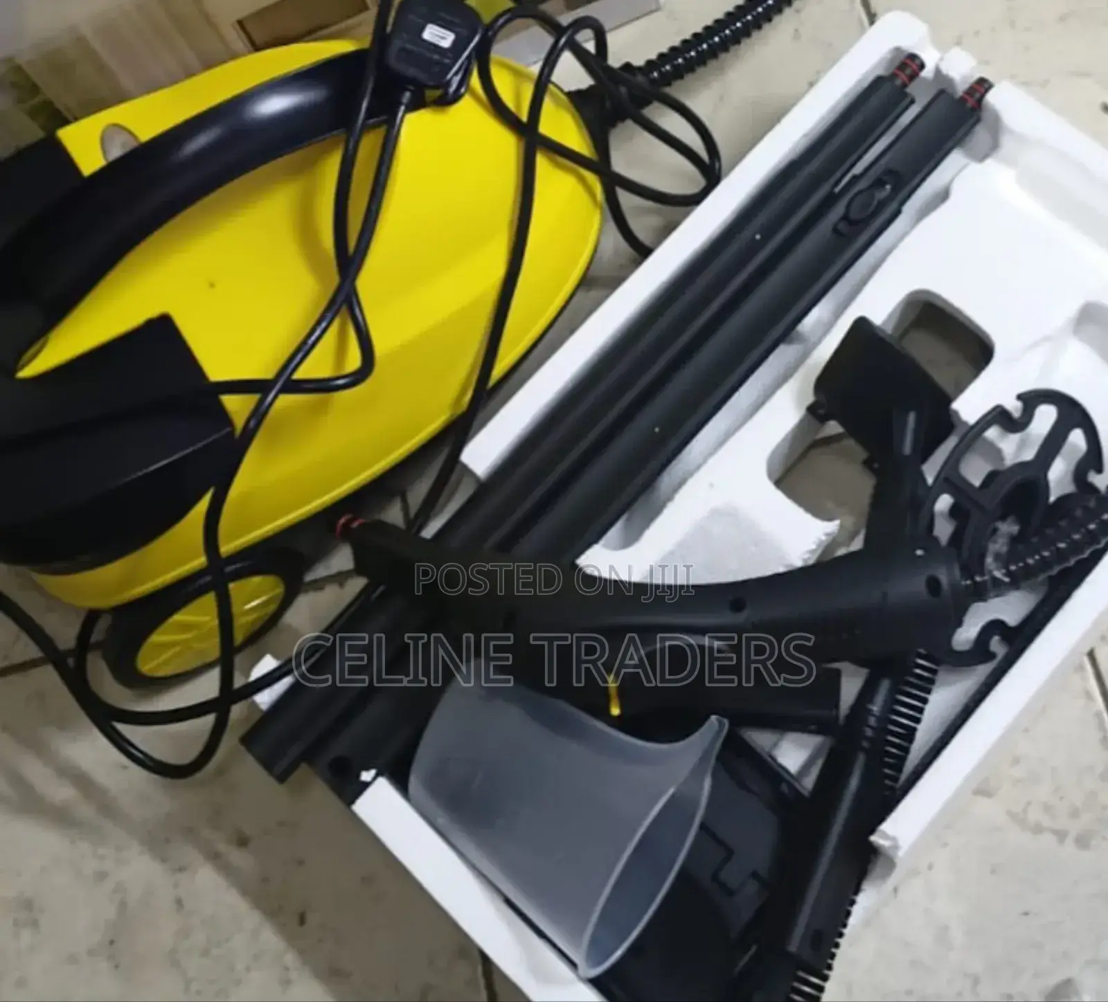 Robayse Powerful and Home Steam Cleaner