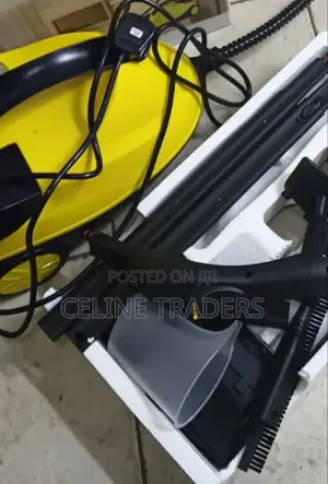 Robayse Powerful and Home Steam Cleaner