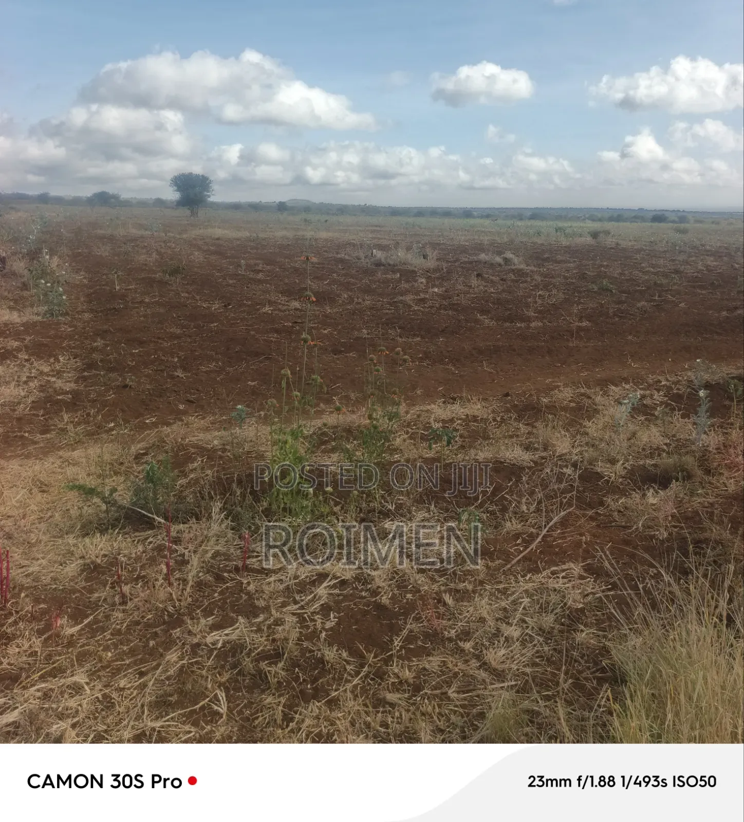 Commercial Land