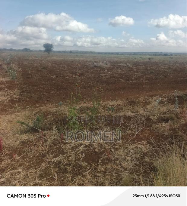 Commercial Land - thumbnail 6