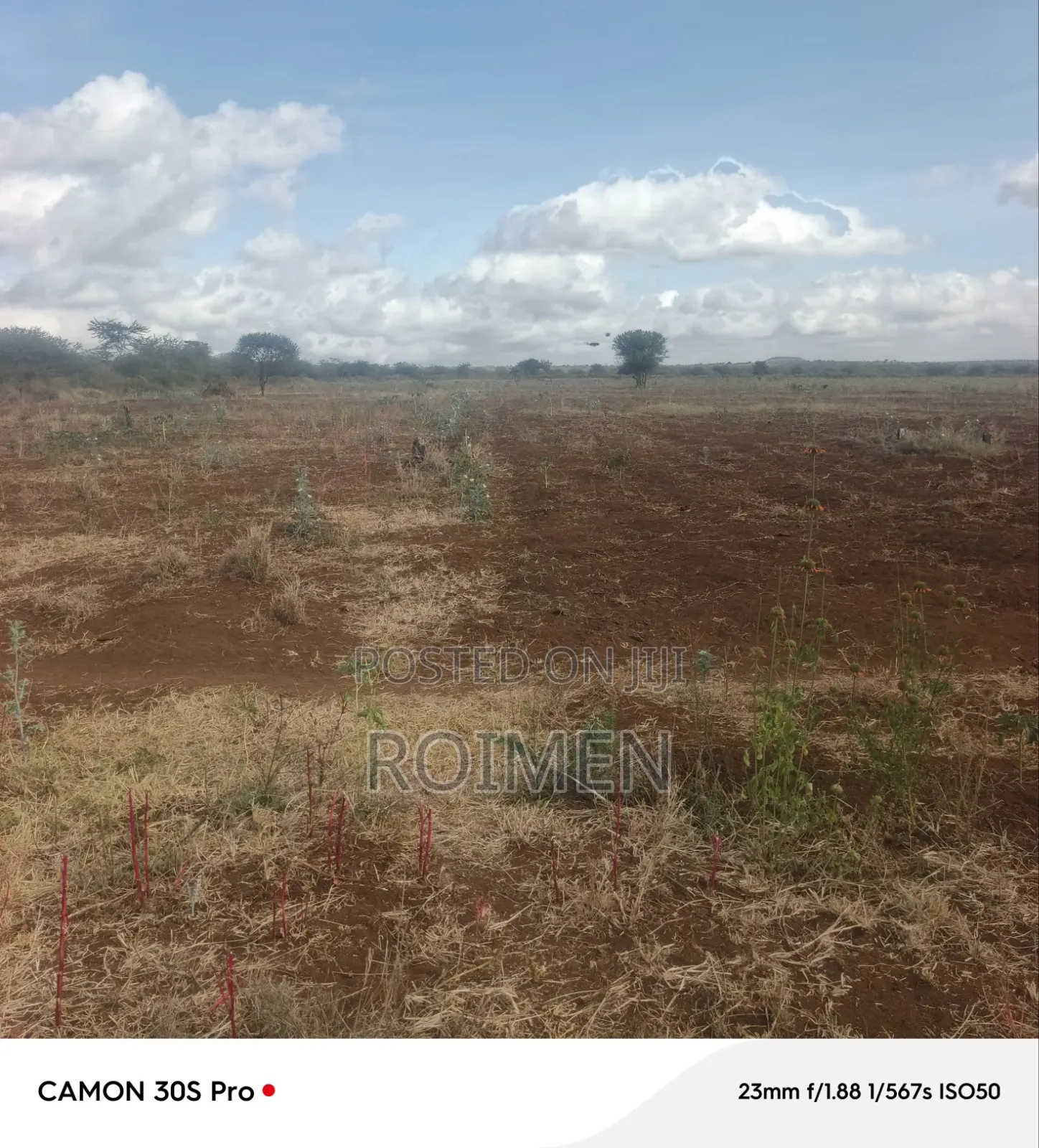 Commercial Land