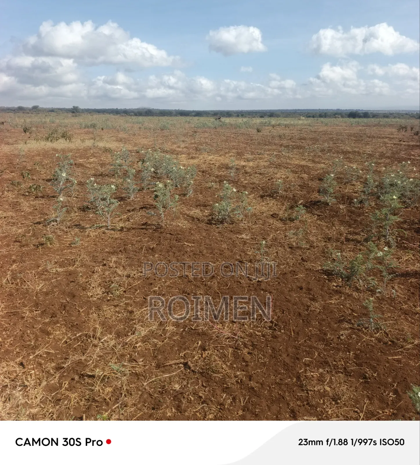 Commercial Land