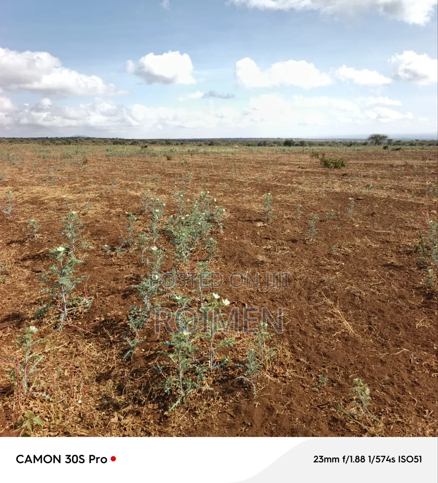 Commercial Land