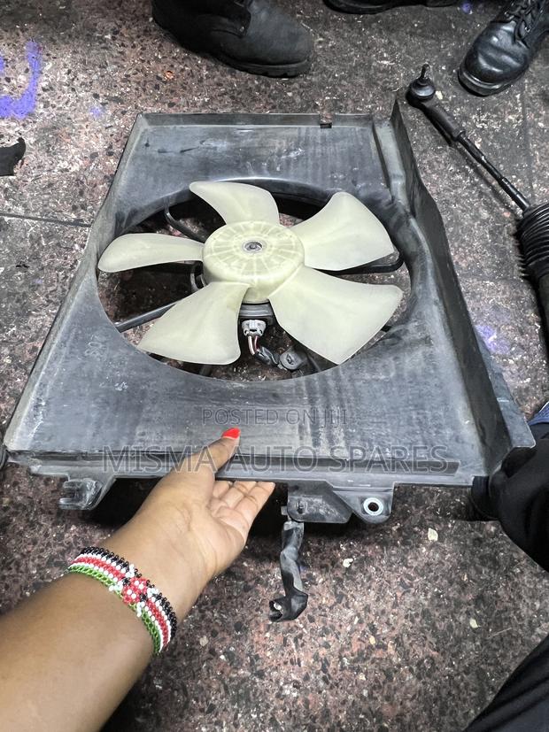 Complete Radiator Fan NZE