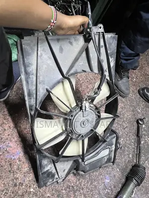 Complete Radiator Fan NZE