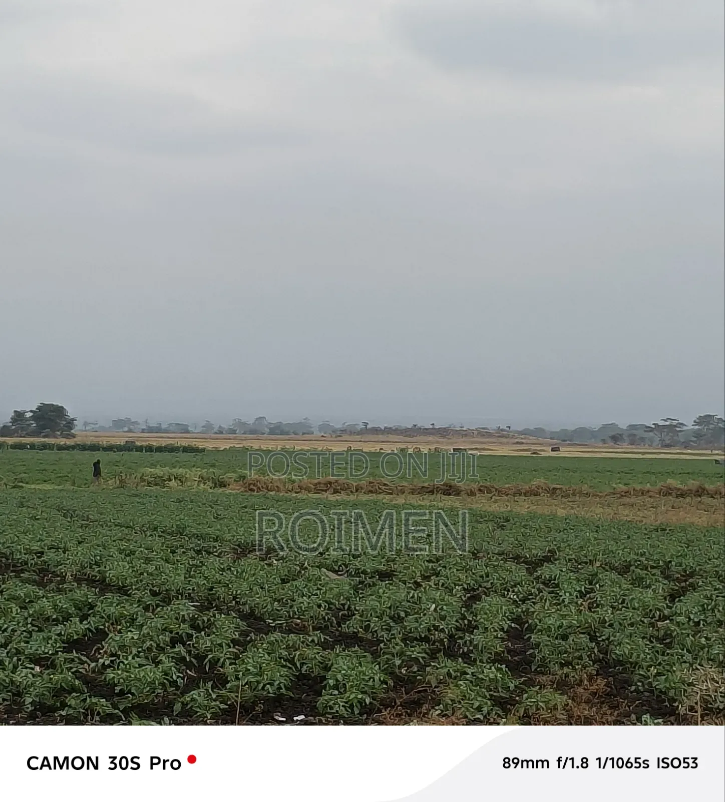 Commercial Land.